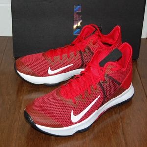 Nike Lebron Witness IV TB Basketball Shoes 11.5